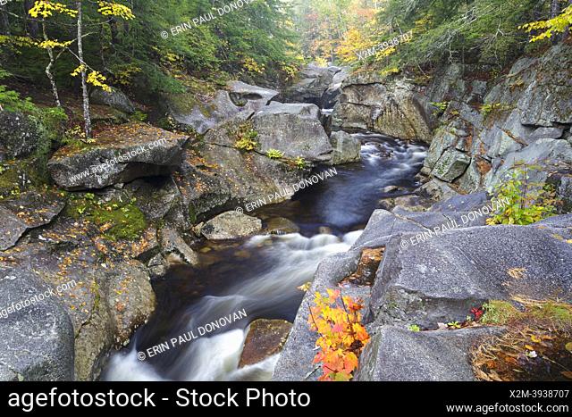 Agassiz Basin, on Mossilauke Brook, in North Woodstock, New Hampshire on a foggy autumn day. Agassiz Basin is named for Swiss naturalist
