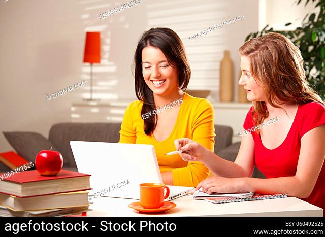 Laughing schoolgirls looking at laptop, blond girl pointing at screen