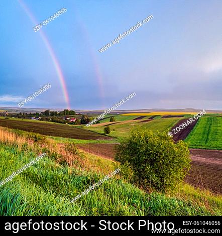 Spring rapeseed and small farmlands fields after rain evening view, cloudy sunset sky with rainbow and rural hills. Natural seasonal, weather, climate, eco