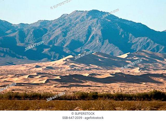 USA, California, Mojave National Preserve, Kelso dunes
