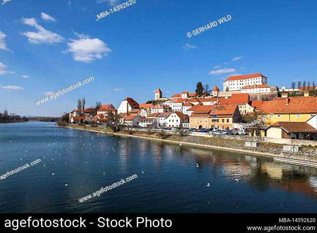 Town Ptuj (Pettau) with castle hill, on the Drava river, oldest town in Slovenia, Lower Styria, Podravska, Slovenia, Europe
