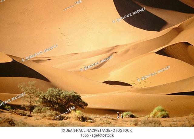 Sossusvlei. Namib-Naukluft Park. Namib Desert. Namibia