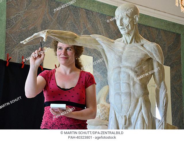 Restorer Mary Randhage works on the ""Muscle Man"" statue by French sculptor Jean-Antoine Houdon (1741-1828) in the foreground at the Palace Museum at the...