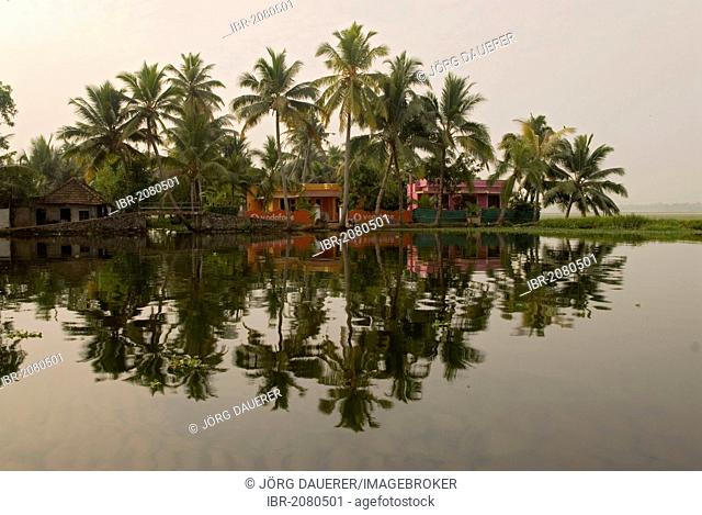 Houseboats and palm trees reflected in the backwaters of Alleppey, Kerala, India, Asia