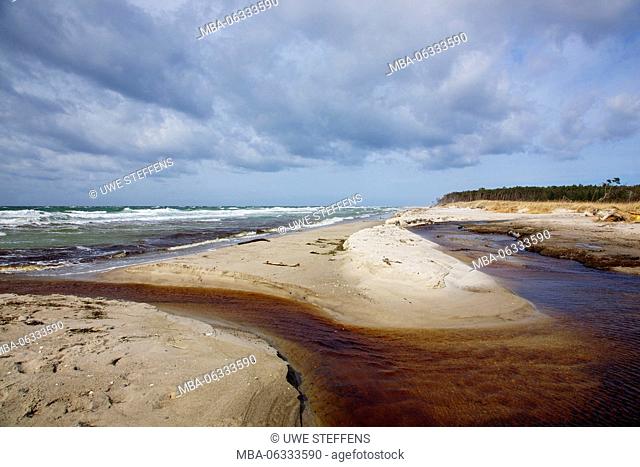 Stormy day on the western beach of Darss peninsula, in the foreground enter the Muellergraben, a because of humic acid brown coloured moor brook into the Baltic...