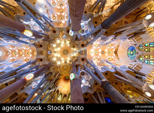 The ceiling of interior of Sagrada Familia (Church of the Holy Family), the cathedral designed by Gaudi in Barcelona, Spain