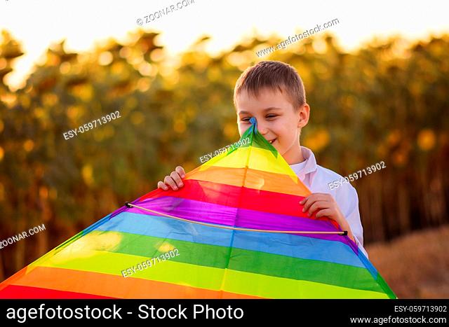 kite in the hands of a boy. preparing to launch the kite. The concept of active recreation without gadgets