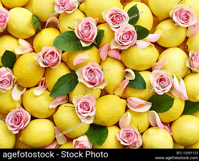 Lemons and pink rose petals with leaves (whole image)