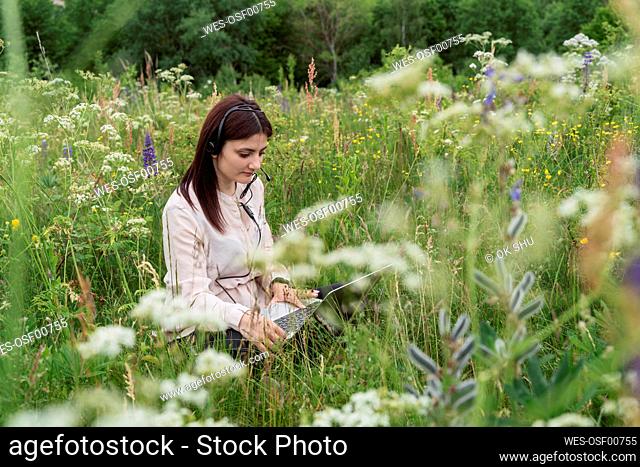 Freelancer working on laptop amidst wildflowers