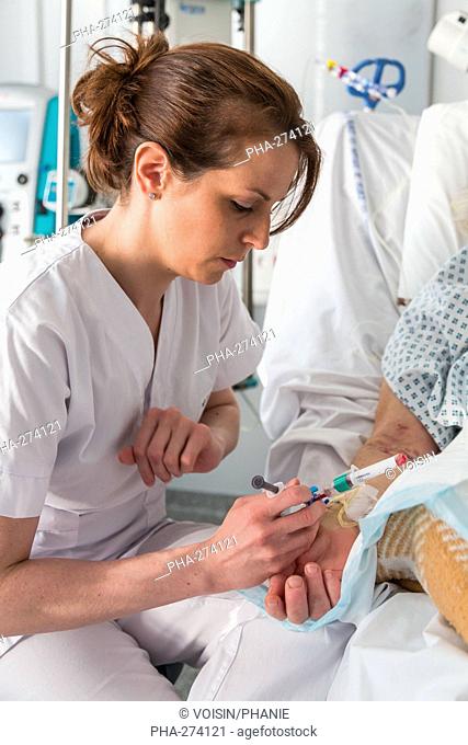 Nurse taking blood sample ( Blood gas analysis ) from a patient, Intensive care department, Lagny Marne-la-Vallée hospital, France