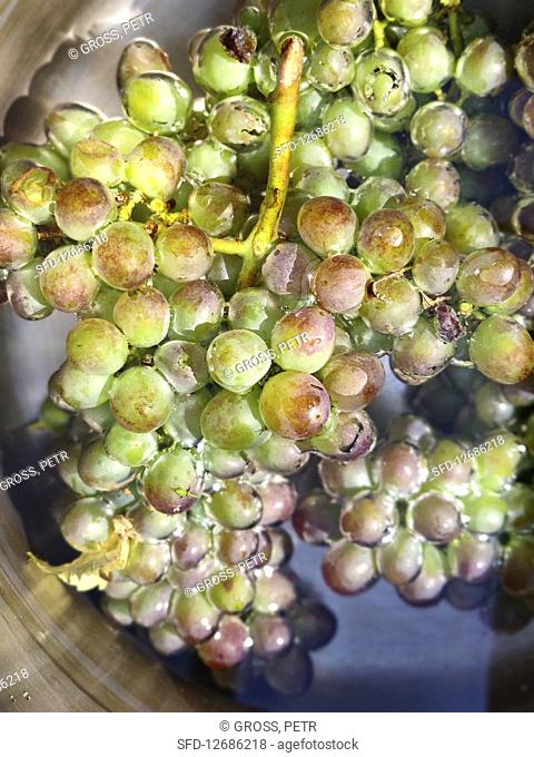 Washed grapes
