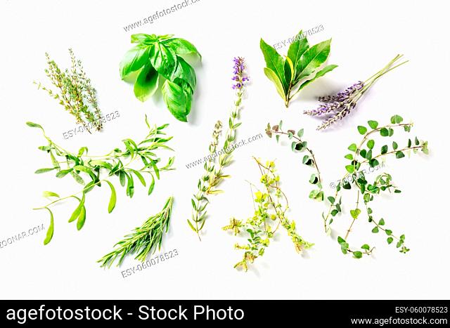 Herbes de Provence with lavender, traditional French aromatic herbs, shot from the top on a white background