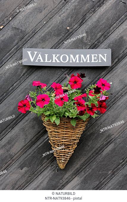 Welcome sign with flowers in hanging basket