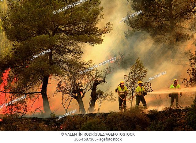 Staff working forest fire in a forest fire in Castellón