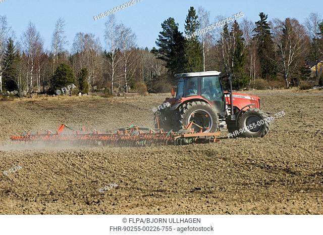 Massey Ferguson tractor pulling harrows, harrowing field, Sweden, spring