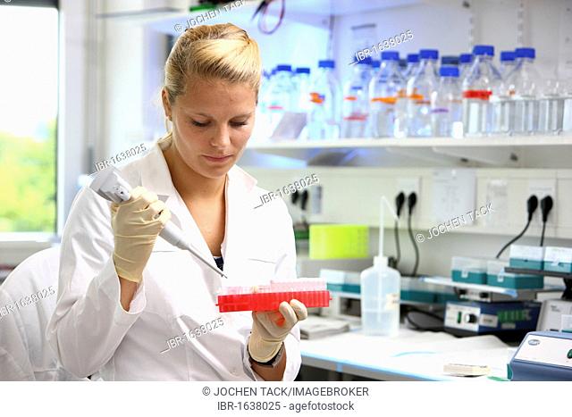Biotechnology laboratory, a scientist is pipetting a DNA-solution into different test tube vessels, Centre for Medical Biotechnology University Duisburg-Essen