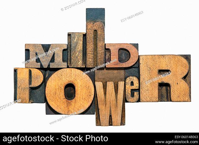 mind power phrase made from mixed wooden letterpress type isolated on white