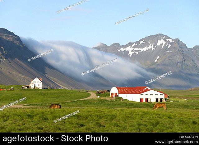 Farm, Farmhouse, near Höfn, Iceland, Europe
