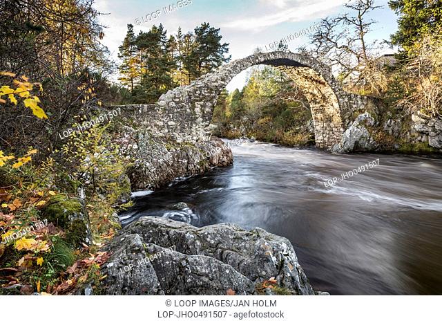 Old packhorse bridge at Carrbridge in Scotland