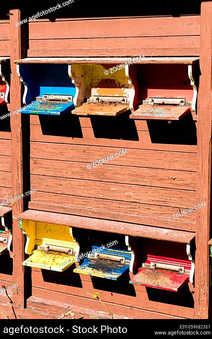 bee hives and entry doors in many colors in a beehive beehouse
