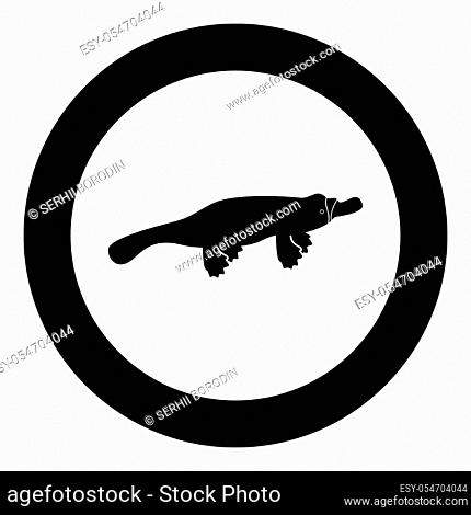 Platypus or duckbill icon black color vector illustration simple image flat style