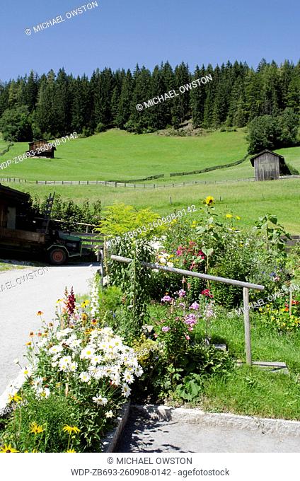 flowers and sceney Thierbach Kufstein Tyrol Austria