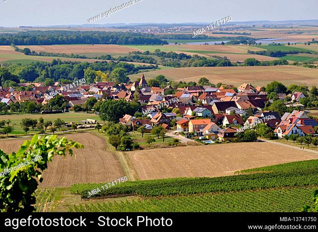 View from the vineyards to the wine-growing village of Bullenheim, Markt Ippesheim, Neustadt ad Aisch-Bad Windsheim district, Middle Franconia, Franconia