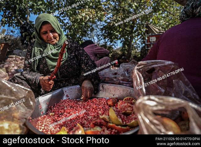 24 October 2021, Syria, Al-Alani: A Syrian worker seeds pomegranate to make molasses in the Al-Alani village on the Syrian-Turkish border near Idlib province