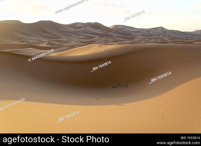 Erg Chebbi Desert, Merzouga, Morocco, Africa