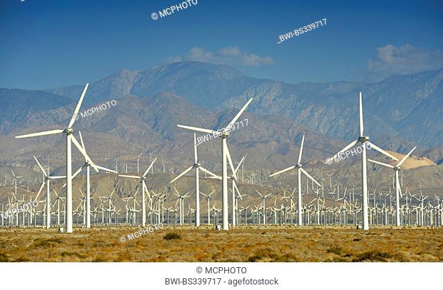 San Gorgonio Pass Wind Farm, USA, California, San Bernadino Mountains, Palm Springs