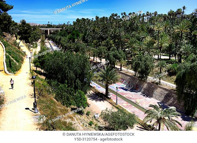Palmeral - date palm orchards - designated by UNESCO as a World Heritage Site, walking trails along Vinalopo river, Elche, Valencian Community, Spain, Europe