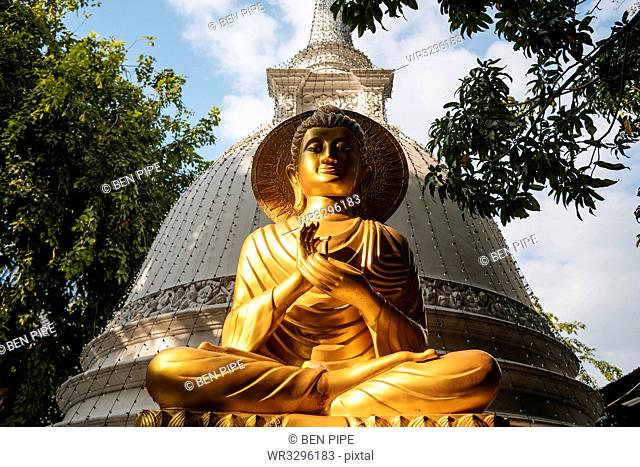 Buddha statue, Gangaramaya Temple, Colombo, Western Province, Sri Lanka, Asia