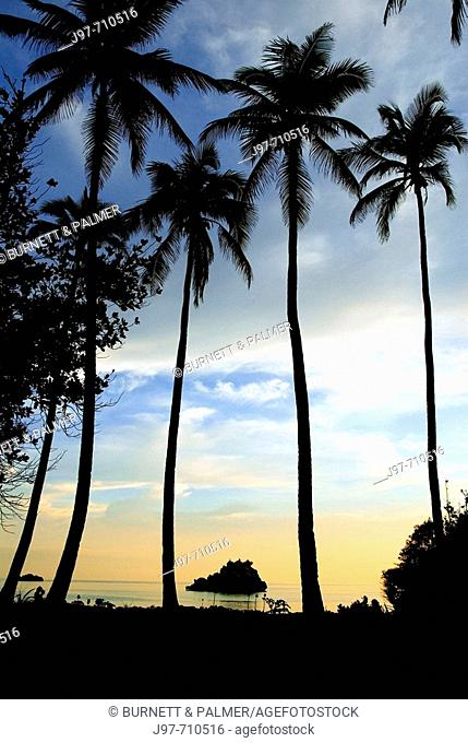 On a remote island in Indonesia you can find pristine settings like this one pictured with the tall coconut palms and a distant islet silhouetted against a sun...