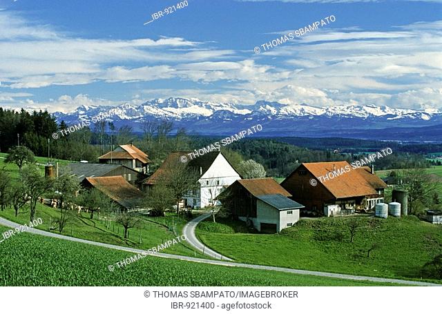 Typical farm in Zuercher Oberland, Zuerich Highlands, in front of the Alps, Switzerland, Europe