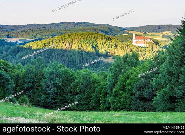 bergern im dunkelsteinerwald, pilgrim church maria langegg, forest dunkelsteinerwald in wachau, niederösterreich / lower austria, austria