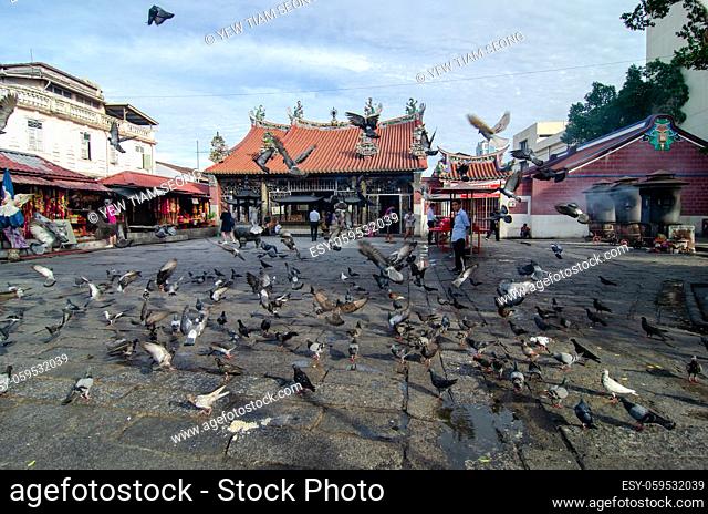 Georgetown, Penang/Malaysia - May 28 2018: Flock of Pigeons at Goddess of Mercy Temple