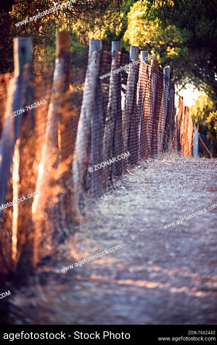 Spain, Huelva, metal fence in natural park
