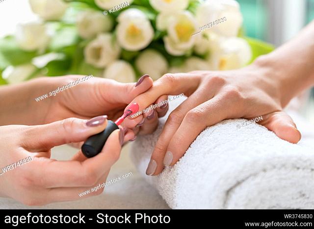 Close-up of the hands of a skilled manicurist, applying elegant red nail polish on the medium length nails of a young woman in a trendy beauty salon