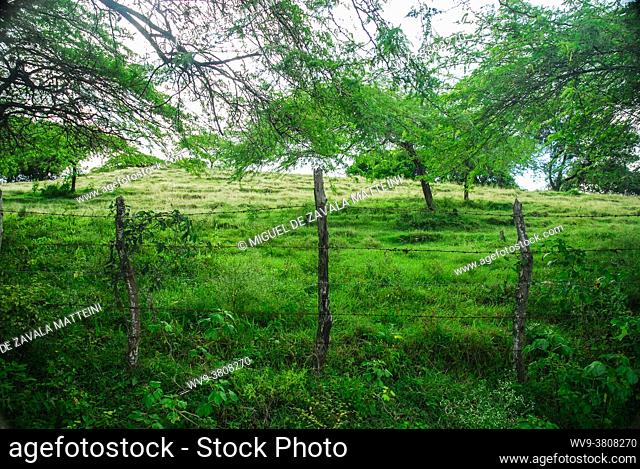 Fenced green field in the Cibao, Isabela Province