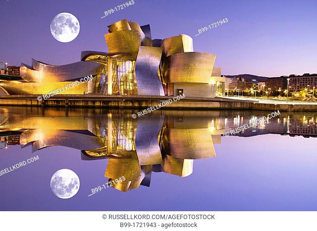 Guggenheim Museum Of Modern Art Nervion River Bilbao Basque Country Spain