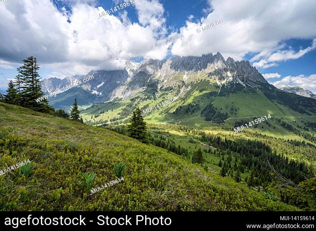 hiking trail around wilder kaiser mountains, tirol - austria