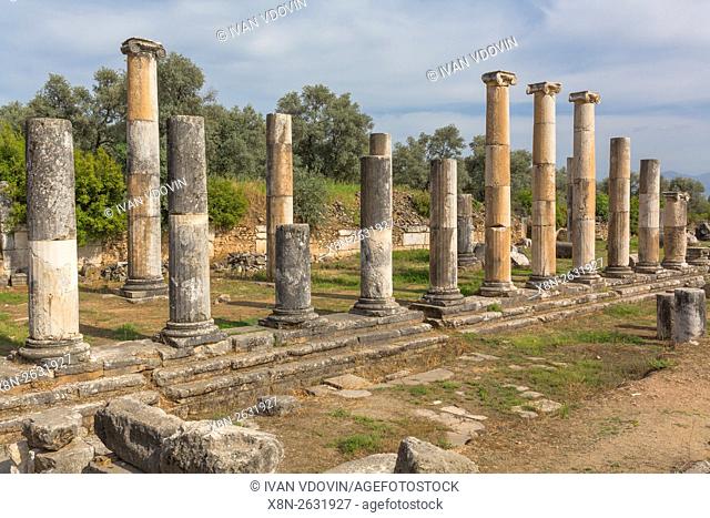 Ruins of ancient Nysa on the Maeander, Aydin Province, Turkey