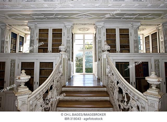 Library, baronial church, Amorbach, Hesse, Germany