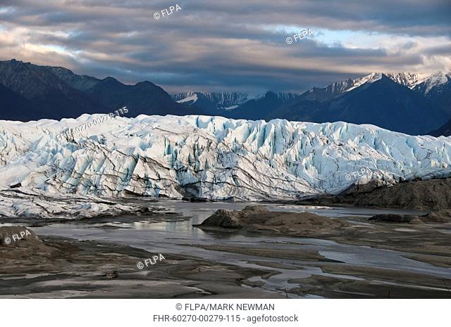 View of valley glacier terminus at sunset, Matanuska Glacier, Chugach Mountains, Alaska, U S A , september