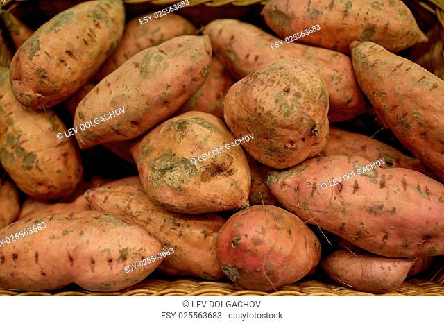 vegetable, harvest, food and sale concept - close up of sweet potatoes in basket