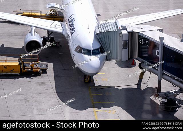23 June 2022, Bavaria, Munich: A Lufthansa aircraft stands at a gate at Munich Airport. A congress on ""Synthetic Kerosene and the Future of Aviation"" was held...
