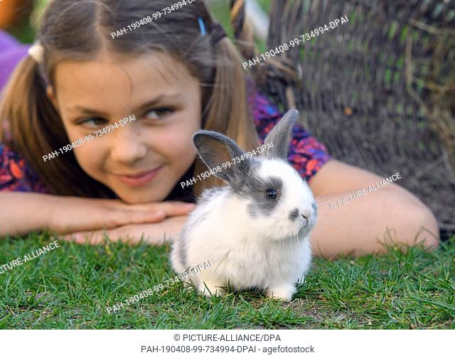 07 April 2019, Brandenburg, Sieversdorf: ILLUSTRATION: The eight-year-old Mia lies together with a young rabbit on a meadow