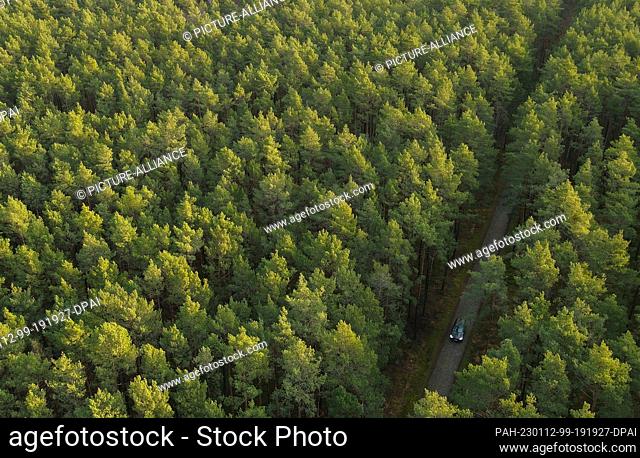 12 January 2023, Brandenburg, Jacobsdorf: A road leads through a pine forest in the Oder-Spree district in the eastern state of Brandenburg (aerial photograph...