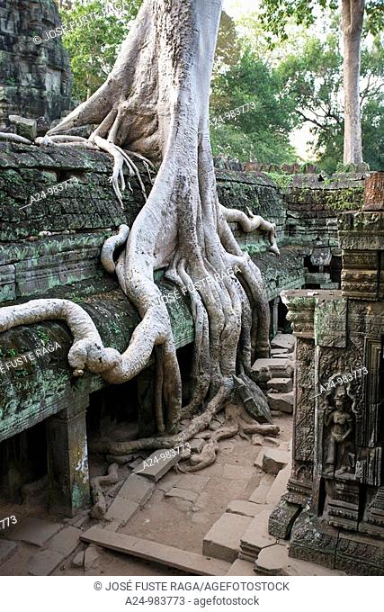 Cambodia-No  2009 Siem Reap City Angkor Temples W H  Ta Prohm Temple