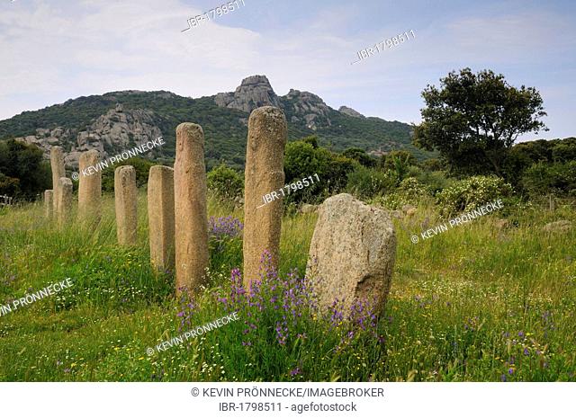 Standing stones on the Cauria plateau, Corsica, France, Europe